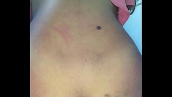 Amatör Çift Horoz Ve Am Oyununun Tadını Çıkarıyor