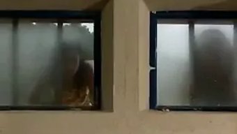 Eskiden Güzel Olan Laura Angel, Plajda Sıcak Seksin Tadını Çıkarıyor