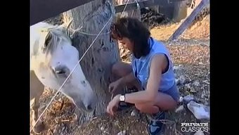 Göz Alıcı Bir Esmerle Vintage Kır Evi Sikişi