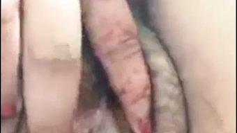 Büyük Göğüslü Ve Amcıklı Kız Ateşli Bir Şov Yapıyor