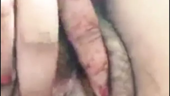 Büyük Göğüslü Ve Amcıklı Kız Ateşli Bir Şov Yapıyor