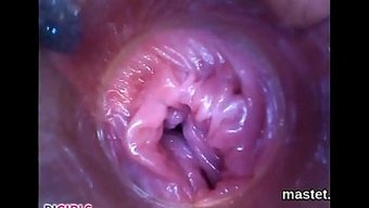 Dildo Ve Endoskopik Oyuncaklarla Çıplak Video Eğlencesi