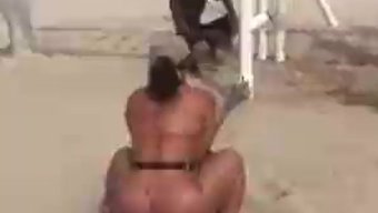 Güzel At, Gostosa, Kuyruğunda Diş Ipi Olan Trenler.