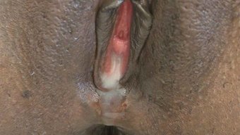 Irklararası Aşk: Amatör Siyah Kız Arkadaş Creampie Alıyor