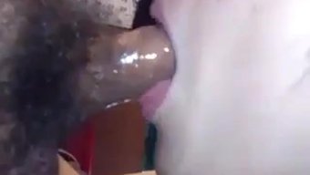 Çin Blowjob Sahnesinde Boşalma Yutma