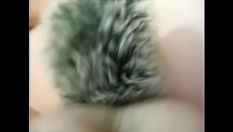 A. Tail Butt Plug Ile Deneyim Anal Uyarı