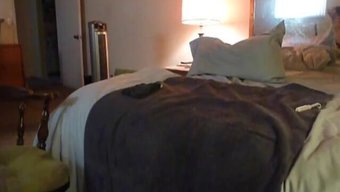 Bu Gay Videoda Kadınlar Içinampon Oyunu Ve Penis Straponu