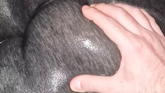 Genç Amatör, Halka Açık Piss Içme Ve Yemek Oyunuyla Vahşileşiyor