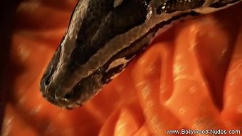 Asyalı Milf'In Hd Videoda Derin Boğaz Becerileri
