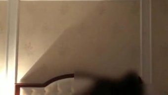 Chia, Ky, Tay Ve Tay'In Ajanı Sıcak Bir Videoda