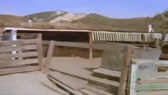 Rene Bond Ile Yüksek Çözünürlüklü Klasik Vintage Porno
