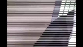 Eski Japon Göğüsleri Ve Asyalı Cep Telefonları Koleksiyon Birinde